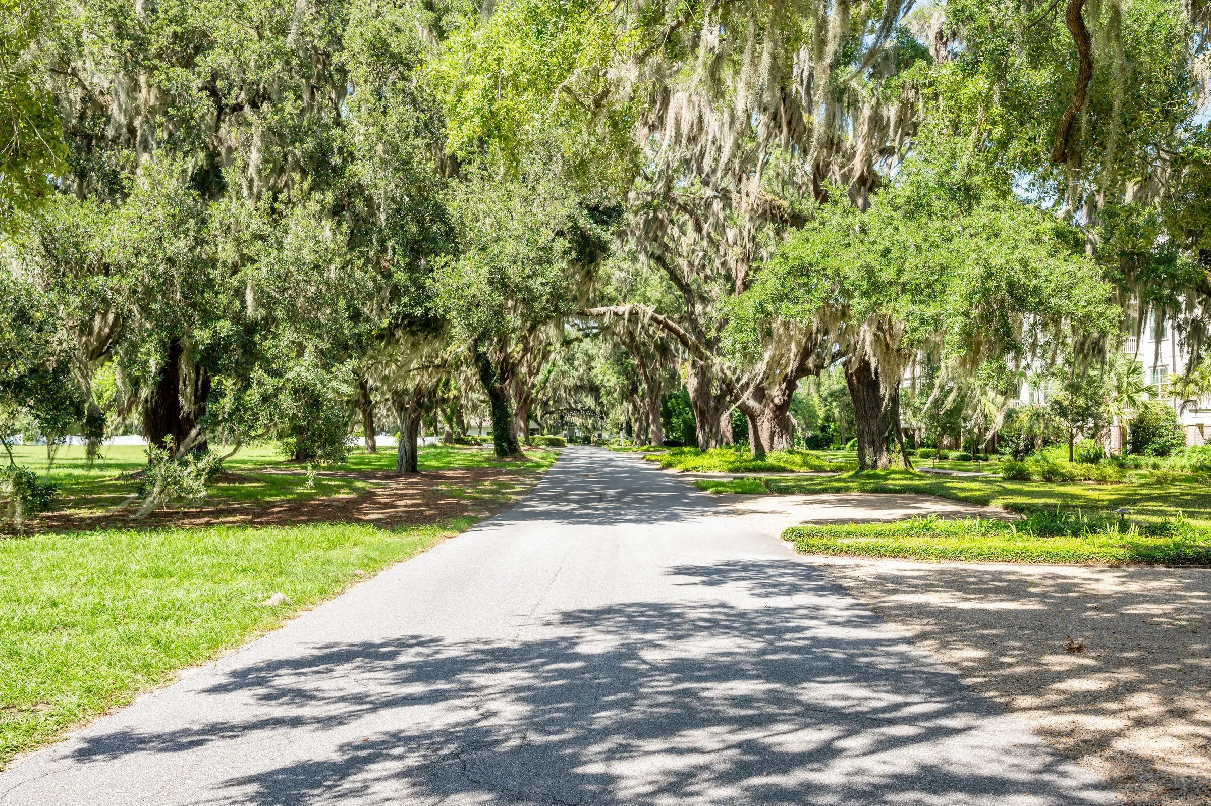 Oak-canopied lane on St. Simons Island